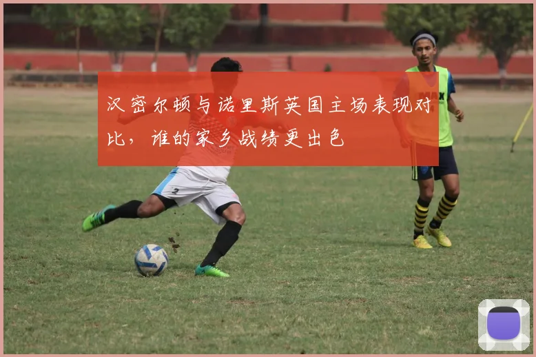 汉密尔顿与诺里斯英国主场表现对比,谁的家乡战绩更出色